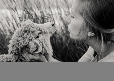 Mrs. Hartman’s Farmhouse Market