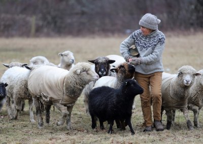 Wing & A Prayer Farm