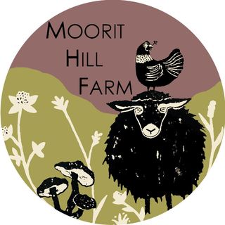 Moorit Hill Farm and Fiber