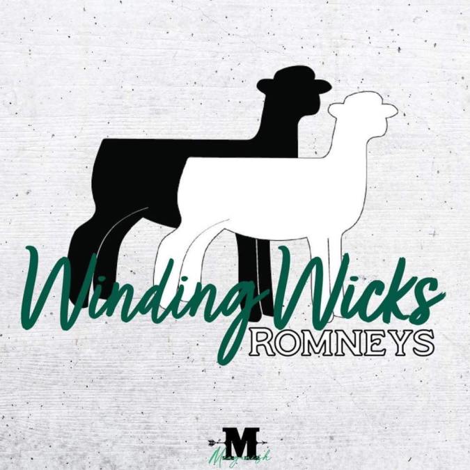 Winding Wicks Romneys