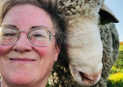 Rockin’ Sheep Farm