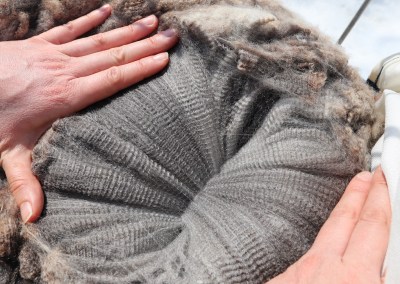 Shepherdess of Black Sheep