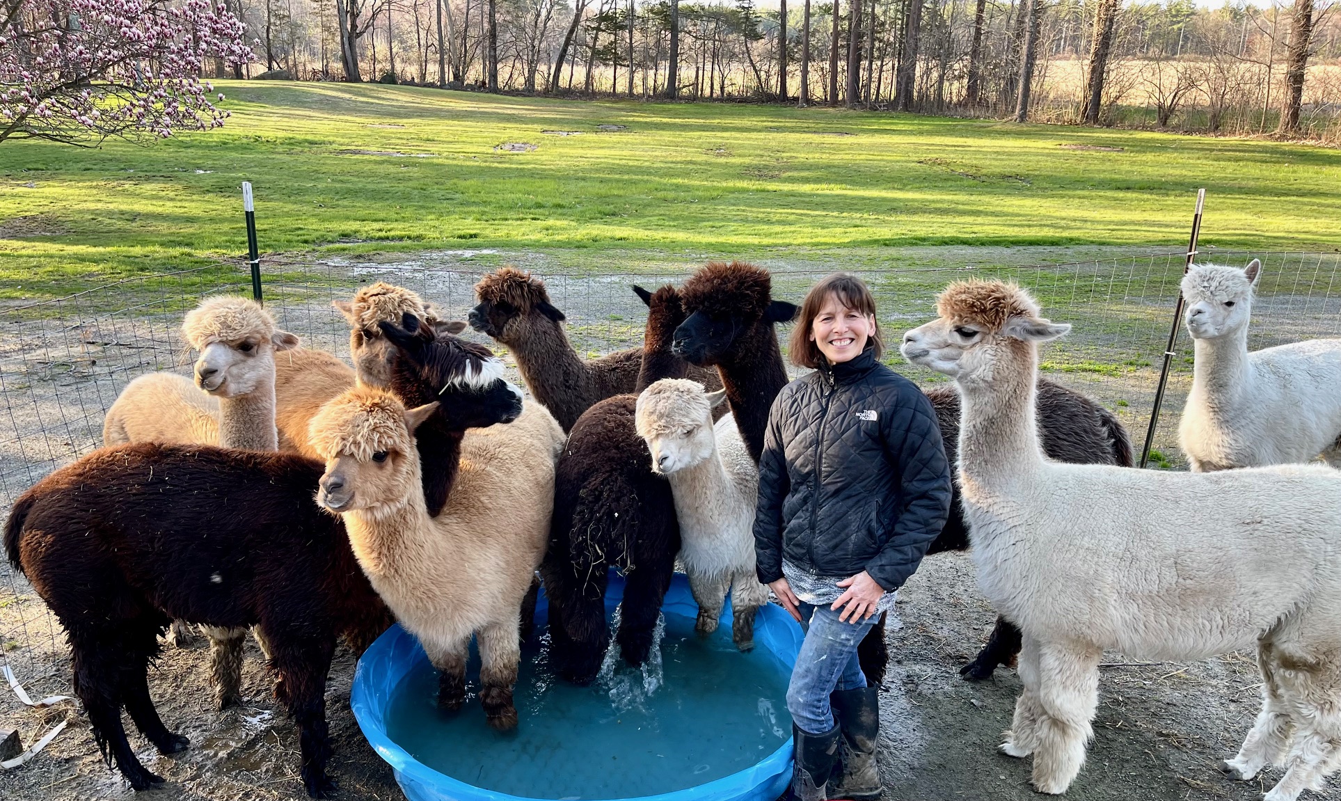 Granite State Alpacas